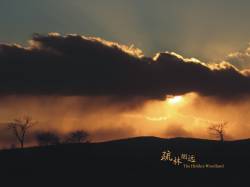 The Hidden Wonderland